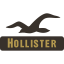 logo Hollister